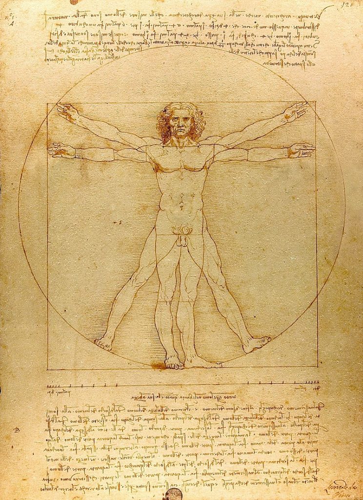 Vitruvian Man - Leonardo Da Vinci - Finding Descendants