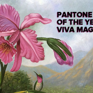 Pantone Color of the Year 2023: Viva Magenta